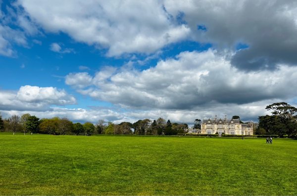 Muckross House by null