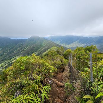 Mt Ka'ala Trail - Hiking Near Me - Waianae, Hawaii