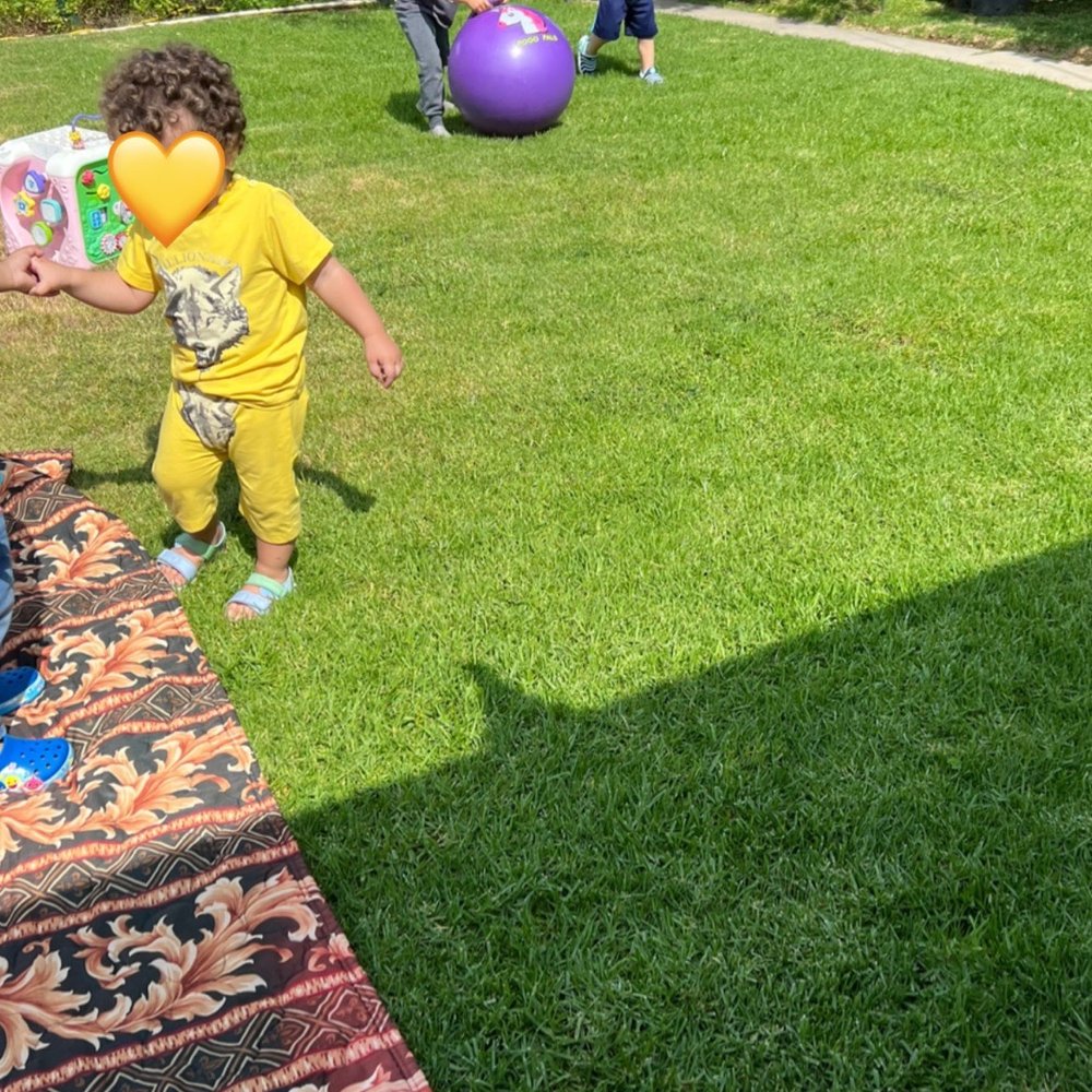 Daycare Kids - Child Care & Day Care Near Me - Mission Hills, California