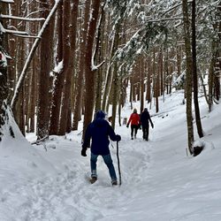 Whetstone Gulf State Park - South Gorge trail