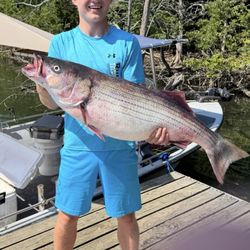 40+" and 30 pound behemoth Striper