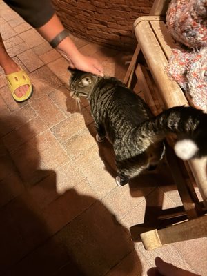 Ojo Caliente Mineral Springs Resort & Spa by null