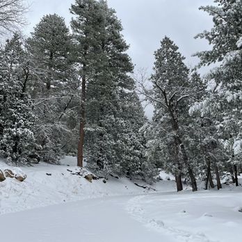 Humber Park - Parks Near Me - Idyllwild, California