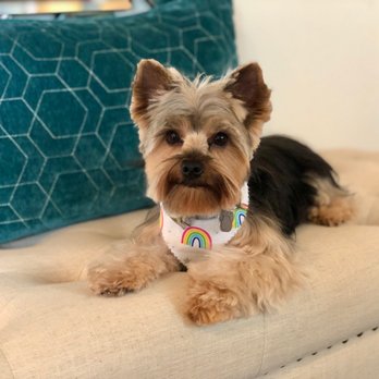 Ladera Ranch Grooming & Pet Spa - Pet Groomers Near Me - Ladera Ranch, California