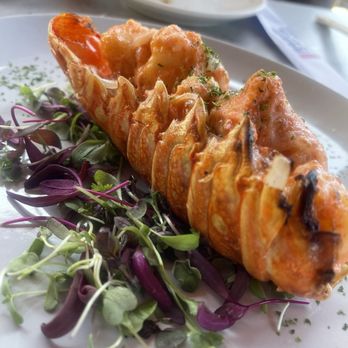 Shimbashi Izakaya - Lobster - Sushi Bars Near Me - Del Mar, California Shimbashi Izakaya - Lobster - Sushi Bars Near Me - Del Mar, California