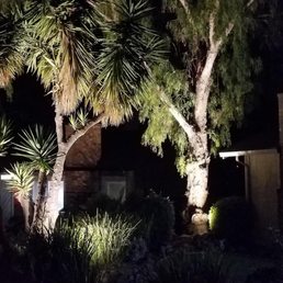 Landscape Uplighting
