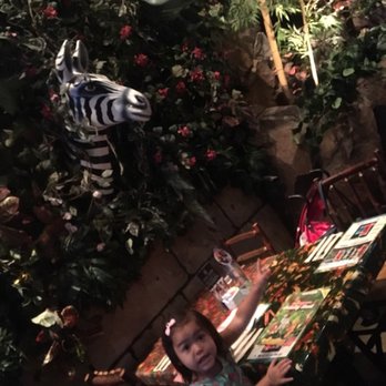 Rainforest Cafe - American Near Me - Katy, Texas Rainforest Cafe - American Near Me - Katy, Texas
