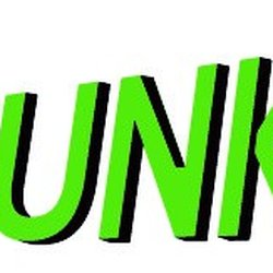 The Junk Bin
