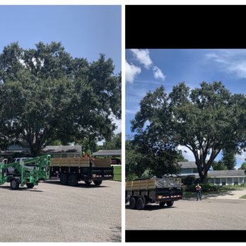 Triple Z Tractor Work - Tree trimming - Tree Services Near Me Triple Z Tractor Work - Tree trimming - Tree Services Near Me