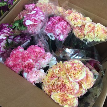 Riverdale Farms - Florists Near Me - Doral, Florida