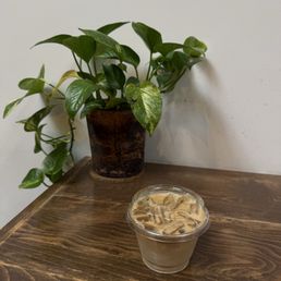 Iced Latte