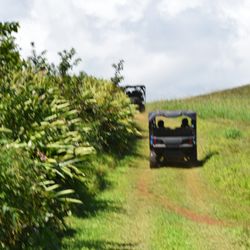 Kohala UTV Adventure - Explore North Kohala's beautiful backcountry by UTV