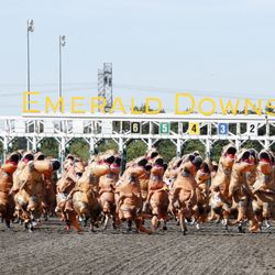 Emerald Downs