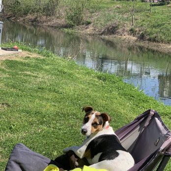 Wildwood Lakes - Dog friendly. But pick up your doggie doo - RV Parks Near Me - Crosby, Texas Wildwood Lakes - Dog friendly. But pick up your doggie doo - RV Parks Near Me - Crosby, Texas
