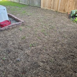Update of my sod and re-sod job.  Doesn't this look good for a $12,000 landscaping investment?