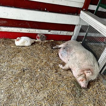 Lambs Farm - Bakeries Near Me - Libertyville, Illinois