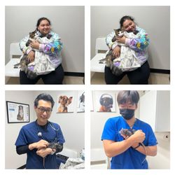 Park Mall Animal Clinic - We had our very own Tom& Jerry (Barbossa & Slim Jim) come in for exams!