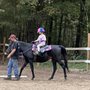 Photo of DayDream Stables