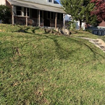 Jones Tree Services - After removal - Snow Removal Near Me