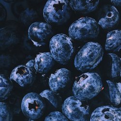 Dockside Seafood Marketplace - Come in and see our fresh blueberries