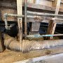 Photo of Turbo Plumbing