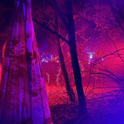 Twisted Hollow Haunt