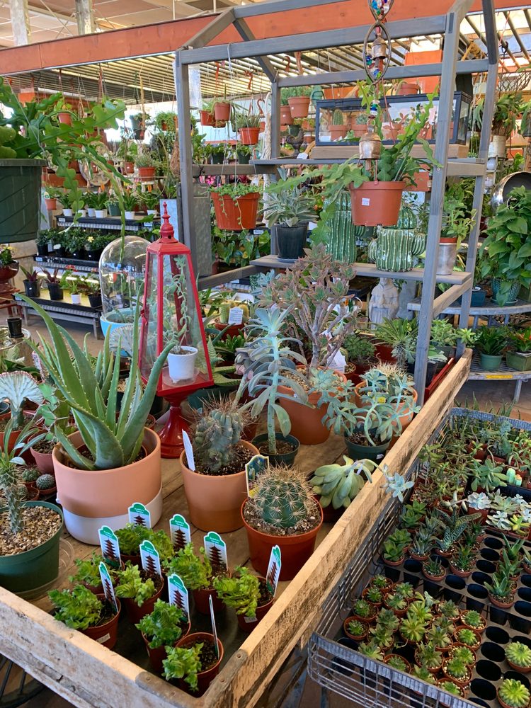 LITTLE RED RIDING HOOD NURSERY 14 Photos & 17 Reviews 4006 34th St, Lubbock, Texas