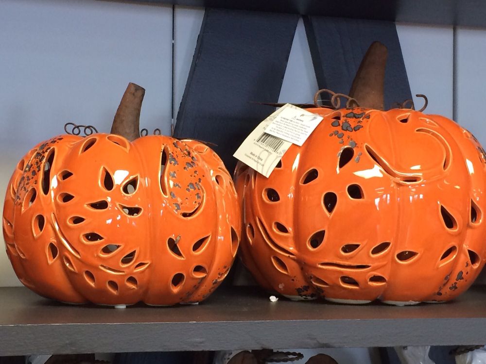 GOLDEN PLAINS GARDEN CENTER & GREENHOUSE Updated June 2024 1140 Plains Ave, Colby, Kansas