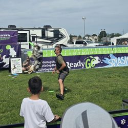Norwalk Seaport Oyster Festival - Ready Go Dog Show
