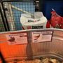 Photo of Tractor Supply