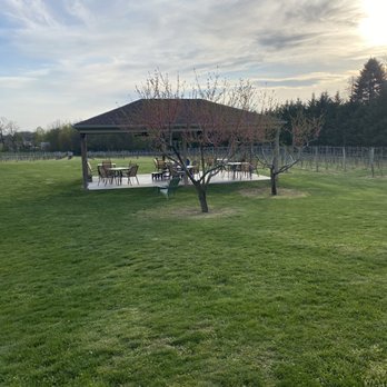 Thunder Ridge Vineyards - Wineries Near Me - Spring Grove, Pennsylvania