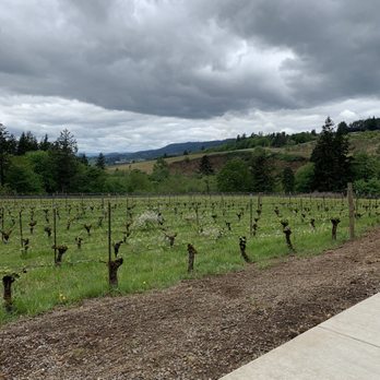 Archer Vineyard - The view - Wine Tasting Room Near Me - Newberg, Oregon