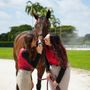 Photo of Empire Equestrian Academy