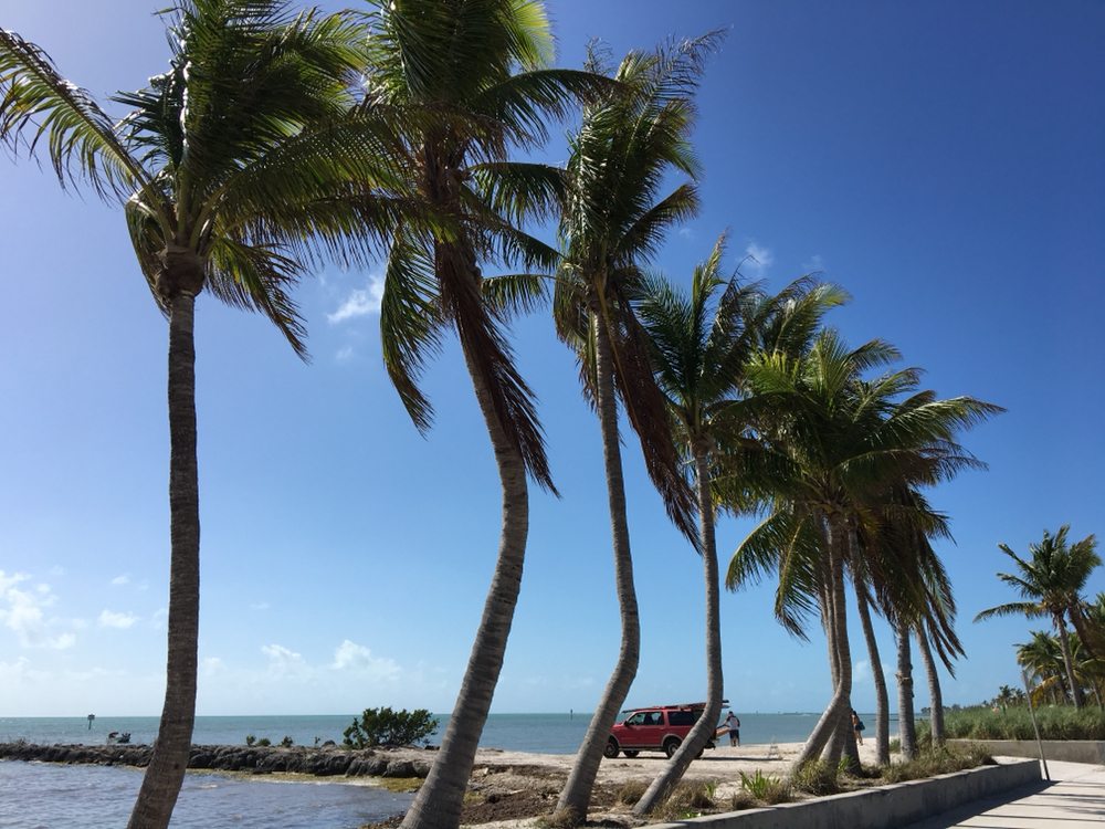 SUSIE’S KEY WEST ESTATE SALES Updated September 2024 Key West, Florida Estate Liquidation