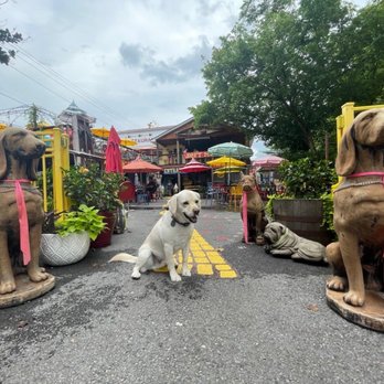 Buddy Lou's Eats Drinks & Antiques - Entrance,dogs welcoming you! - New American Near Me - Hancock, Maryland