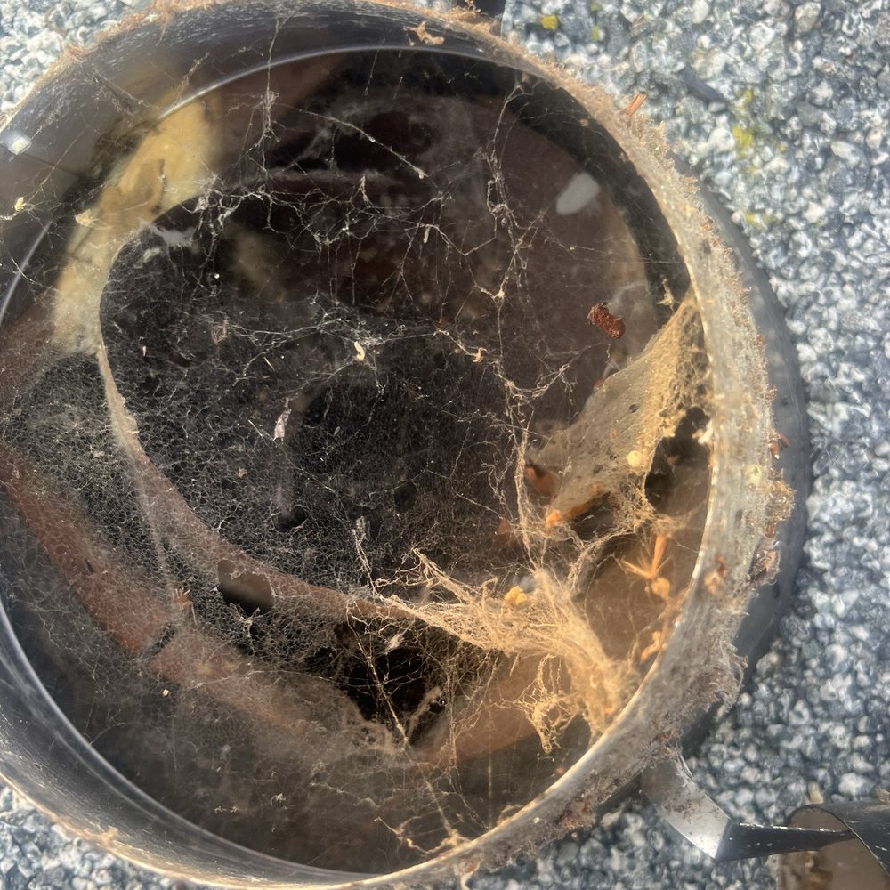 Ramírez Duct Cleaning - Air Duct Cleaning Near Me - Alameda, California Ramírez Duct Cleaning - Air Duct Cleaning Near Me - Alameda, California