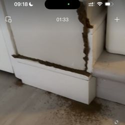 1st Stryke Pest and Termite Control - Active termite mud tubes