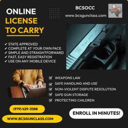 BCS Gun Class - ONLINE COURSE Information