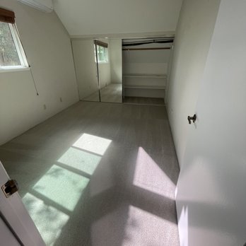 Denis Carpet Cleaning Services - Carpet Cleaning Near Me