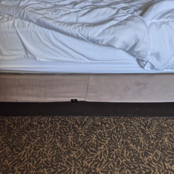Hilton Garden Inn Hampton Coliseum Central - Stains on bottom covering - Hotels Near Me - Hampton, Virginia Hilton Garden Inn Hampton Coliseum Central - Stains on bottom covering - Hotels Near Me - Hampton, Virginia