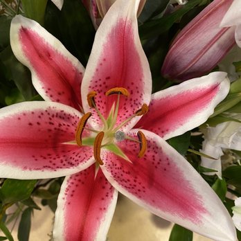 Flowers By Alis - Beautiful flower - Florists Near Me - Modesto, California Flowers By Alis - Beautiful flower - Florists Near Me - Modesto, California