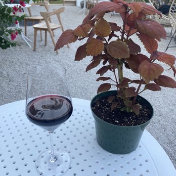 Padre's Wine - Wine Bars Near Me - Houston, Texas