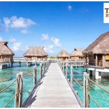 Travel By Ginny - Travel Agents Near Me - Cocoa, Florida Travel By Ginny - Travel Agents Near Me - Cocoa, Florida