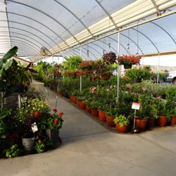 Des' Veggies Nursery & Garden Center