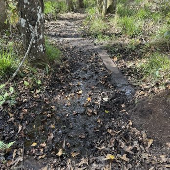 DeLeon Spring State Park - Parks Near Me - De Leon Springs, Florida