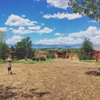Sunflower Farm - Open space! - Attraction Farms Near Me - Longmont, Colorado