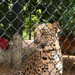 Panther Ridge Conservation Center