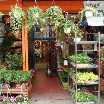 Mushtari Hardware and Garden - Hardware Stores Near Me - New York, New York