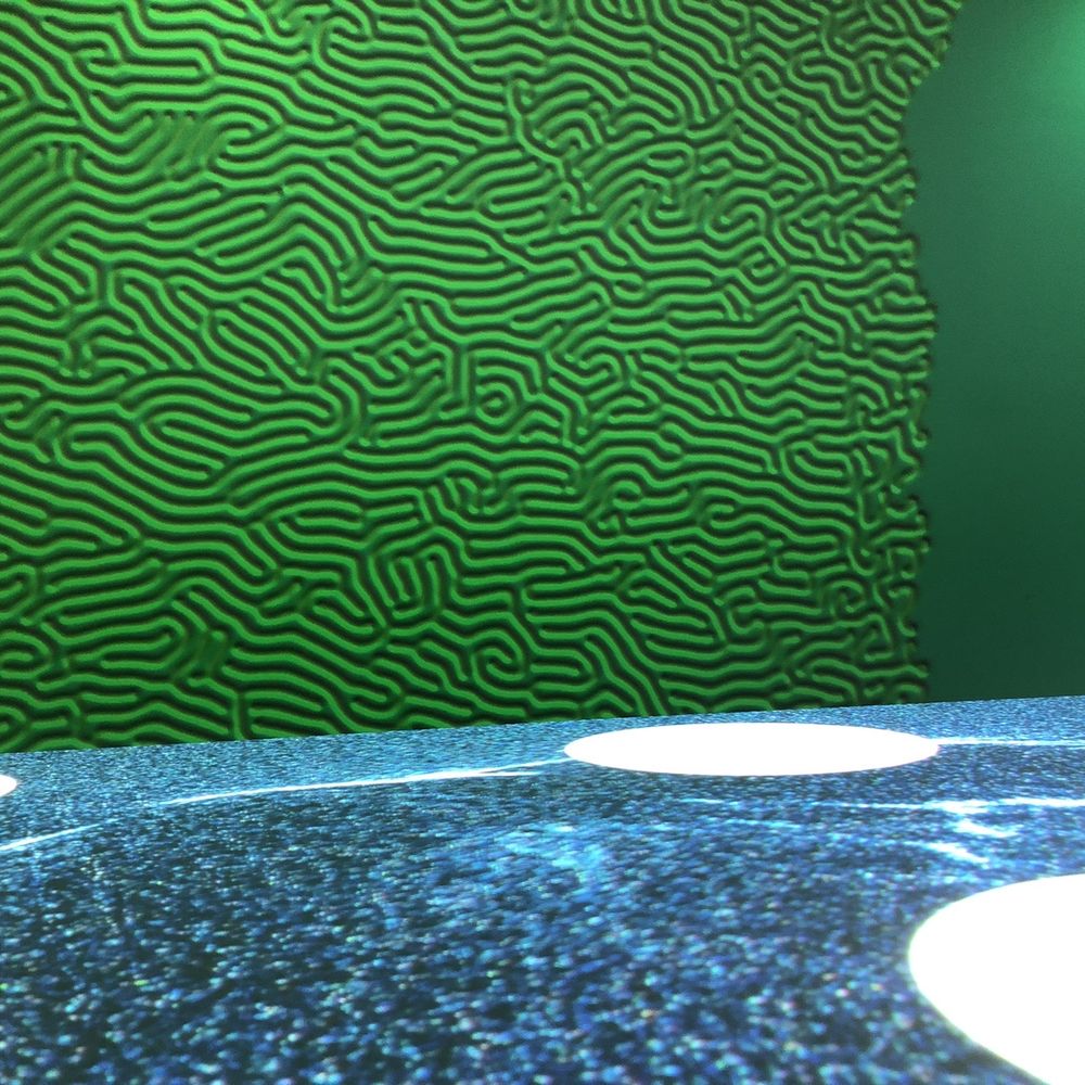 Electric Playhouse - Weird green spreading wall projection. How is this winter themed?? - Party & Event Planning Near Me - Albuquerque, New Mexico