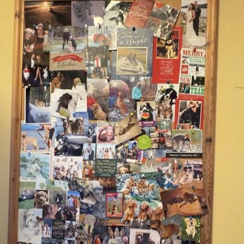 Scraps Dog Bakery - Pet Stores Near Me - Tahoe City, California Scraps Dog Bakery - Pet Stores Near Me - Tahoe City, California